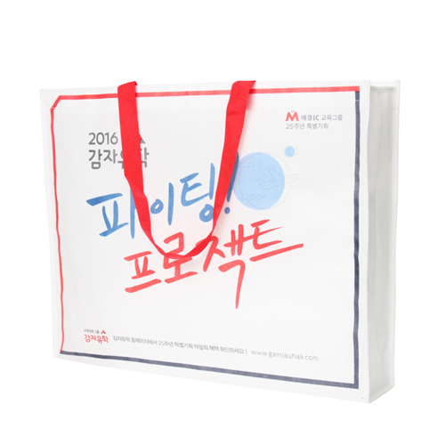 부직포가방(M형)